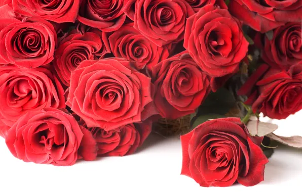 Цветы, розы, букет, красные, red, Valentine`s day, roses