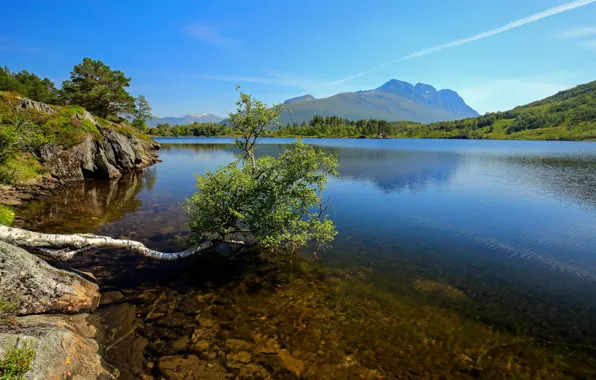 Картинка горы, озеро, дерево, Норвегия, Romsdal