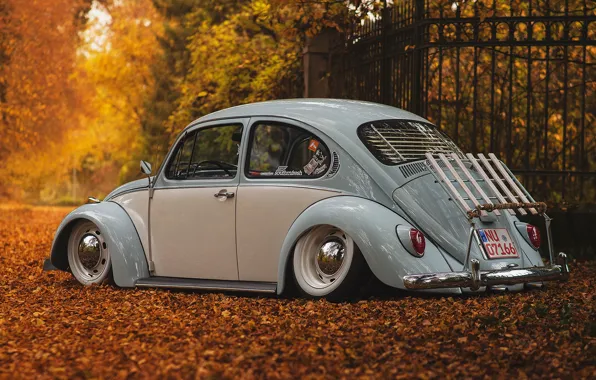 Картинка Volkswagen Beetle, Фольксваген жук, Volkswagen New Beetle