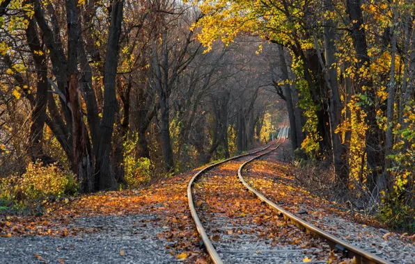 Картинка осень, природа, железная дорога