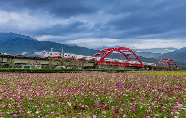 Картинка поле, пейзаж, мост, поезд, Тайвань