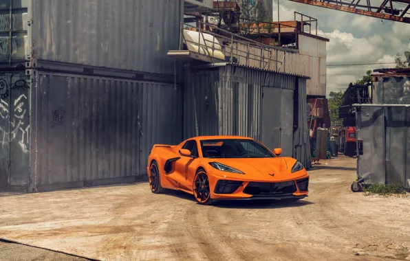 Картинка Chevrolet Corvette, Orange C8