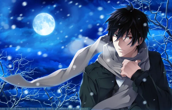 Картинка снег, ночь, луна, аниме, шарф, парень, Psychic Detective Yakumo