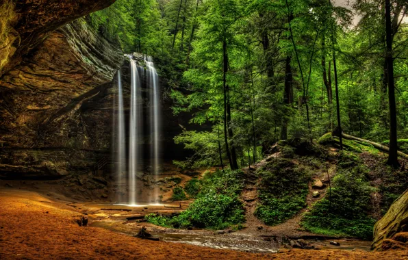 Лес, водопад, Logan, Огайо, Ohio, Hocking Hills State Park, Национальный парк Хокинг Хиллз, Ash Cave …