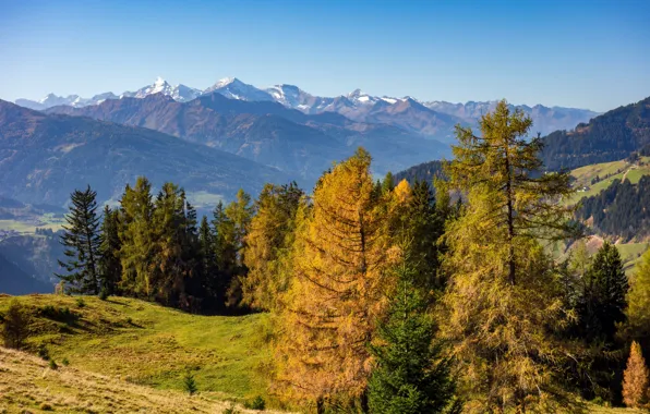 Осень, деревья, горы, октябрь, Австрия