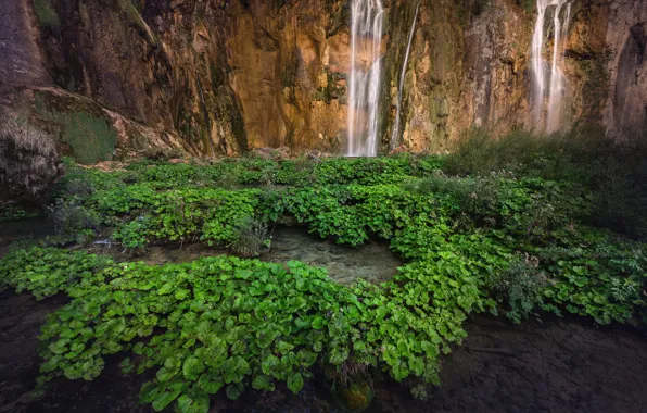 Трава, горы, водопад, Croatia, Lika-Senj, Plitvica