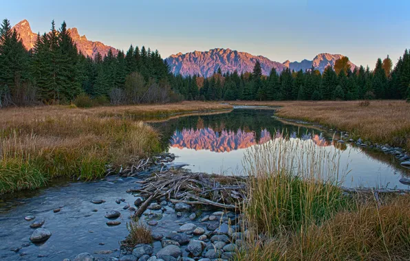 Небо, деревья, горы, река, рассвет, Вайоминг, США, grand teton national park