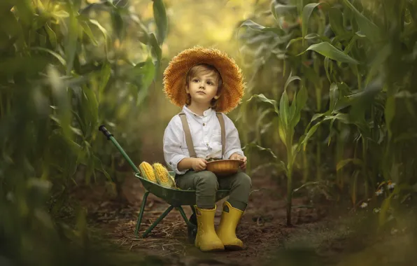 Картинка природа, заросли, мальчик, кукуруза, тачка, ребёнок, Jansone Dace