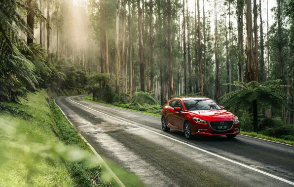 Красный, Природа, Дорога, Лес, Машина, Mazda, Car, Автомобиль