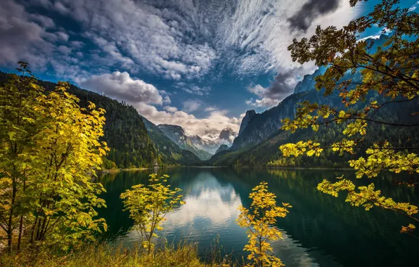 Картинка лес, горы, озеро, Австрия, озеро Гозау, Gregor Thelen