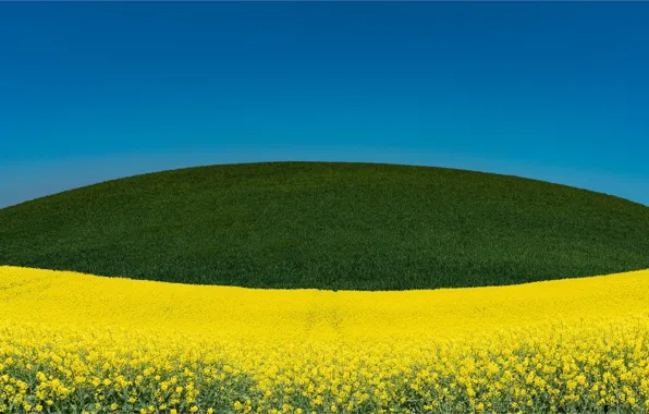 Пейзаж, природа, луга