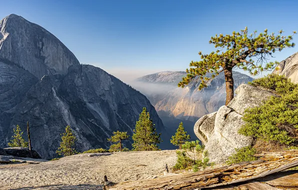 Небо, солнце, деревья, горы, камни, скалы, USA, California