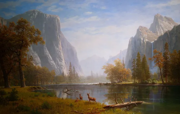 Картинка вода, деревья, горы, природа, дерево, рисунок, гора, арт