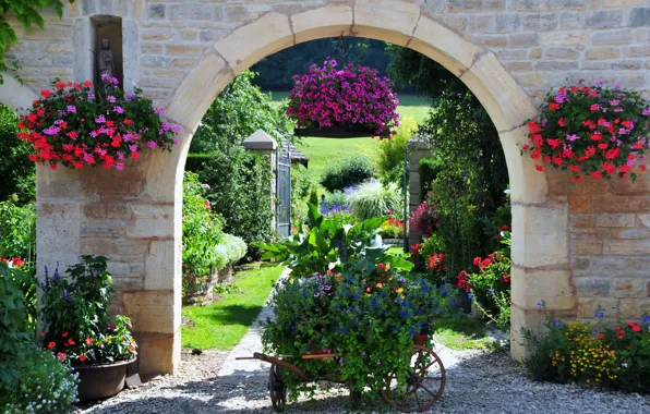 Картинка цветы, природа, фото, Франция, сад, герань, петунья