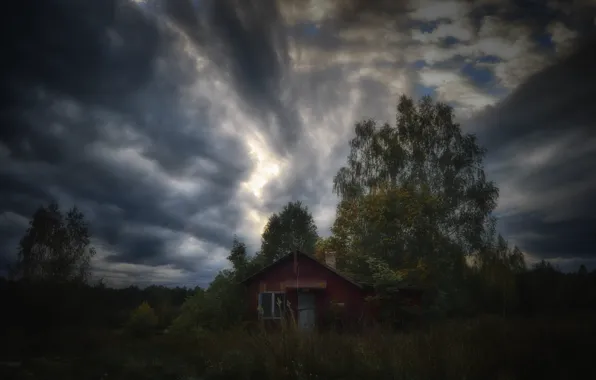 Пейзаж, природа, настроения