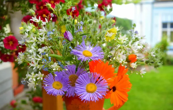 Букет, Bouquet, Фиолетовые цветы, Purple flowers