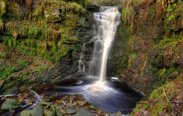 Картинка лес, скала, камни, Англия, водопад, мох, Lead Mines Clough Waterfall