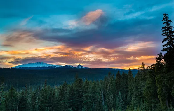 Лес, пейзаж, горы, sunset, Oregon Cascades, Diamond Peak