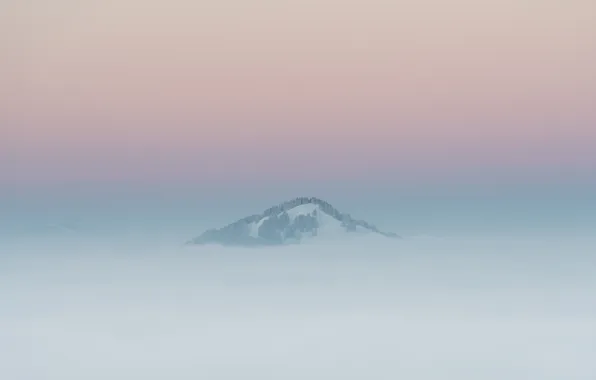 Картинка зима, пейзаж, туман