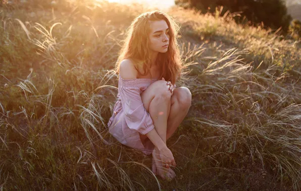 Картинка girl, grass, long hair, dress, legs, field, brown eyes, photo