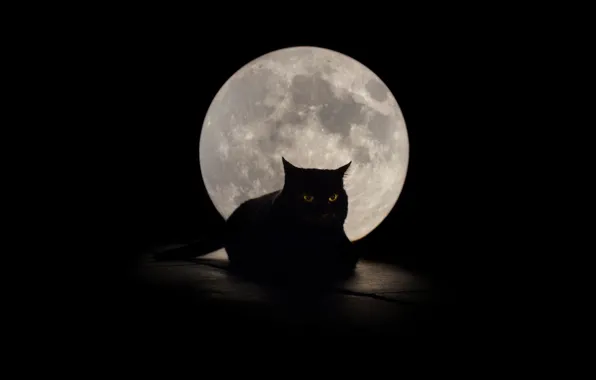 Картинка кошка, глаза, фон, луна