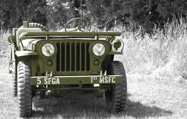 Трава, войны, автомобиль, передок, армейский, Jeep, повышенной, проходимости