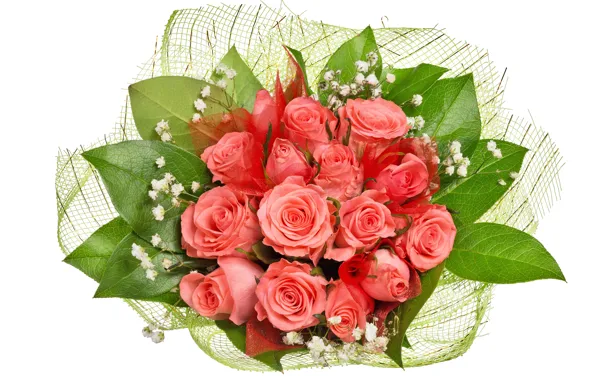 Розы, букет, нежные, 8 марта, красивые, beautiful, Roses, lovely