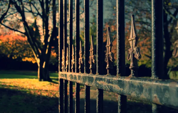 Природа, парк, забор, ворота
