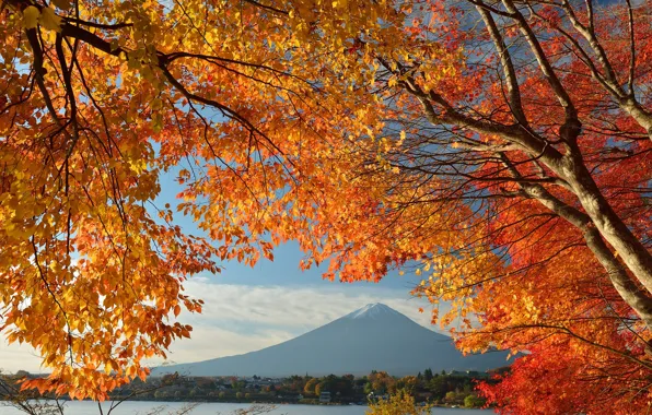 Осень, небо, листья, деревья, озеро, дом, Япония, гора Фудзияма