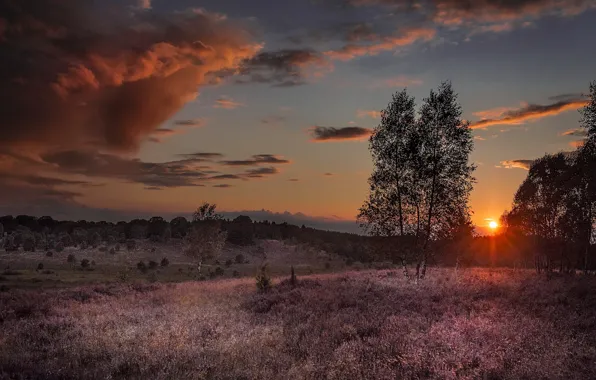 Картинка лето, закат, природа
