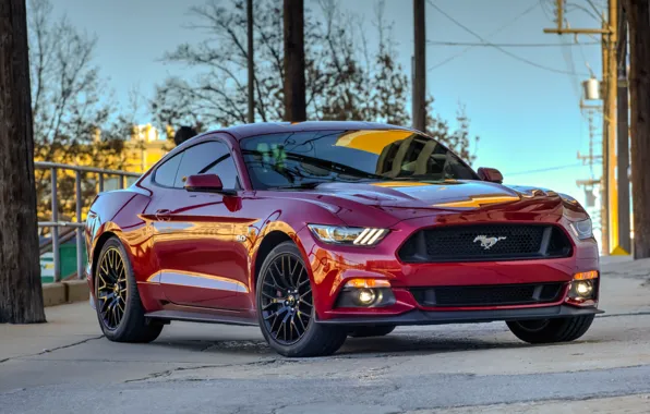 Картинка 2015, red, Mustang, Ford