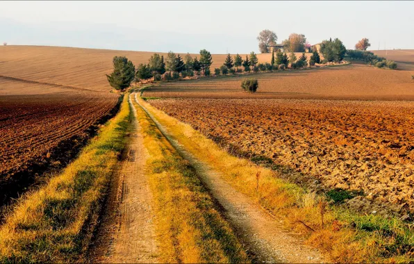Картинка дорога, поле, осень, деревья, домик, солнечно