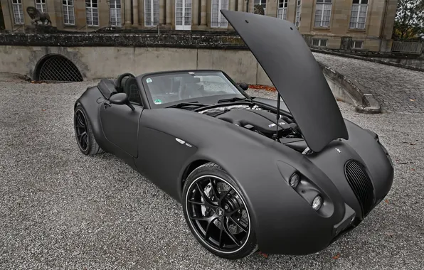 Картинка car, машина, двигатель, мотор, 3000x2000, engine, Wiesmann Black Bat
