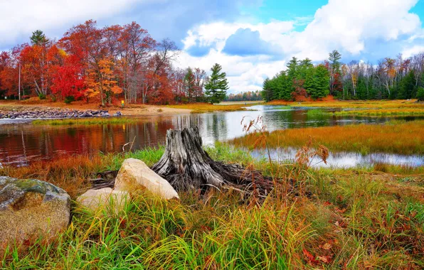 Картинка осень, трава, пейзаж, природа, река, камни, фото
