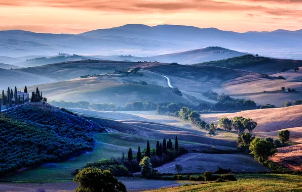 Деревья, пейзаж, горы, природа, панорама