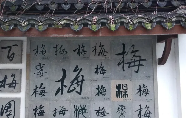 Plum blossom, eave, Chinese character