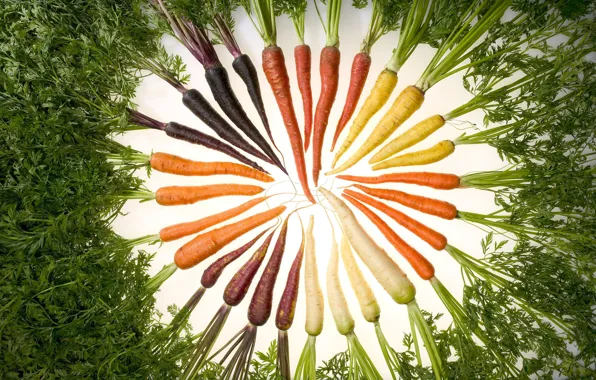 Картинка еда, изобилие цвета, морковь