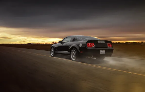 Mustang, Ford, Muscle, Car, Speed, Grey, Road, Collection