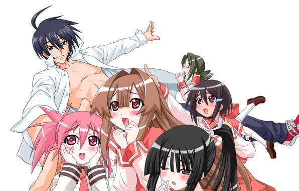 Девушки, парень, Seto no Hanayome, My Bride is a Mermaid, Аниме Морская Невеста