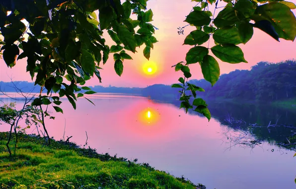Sun, Water, Sunrise, Dawn, Morning, Lake, Trees, Reflection
