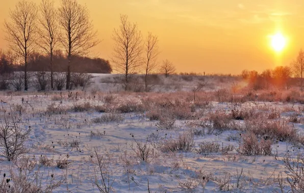 Sunset, winter, snow, morning