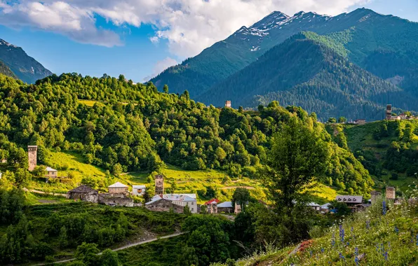 Лес, деревья, горы, природа, дома, Грузия, Svaneti