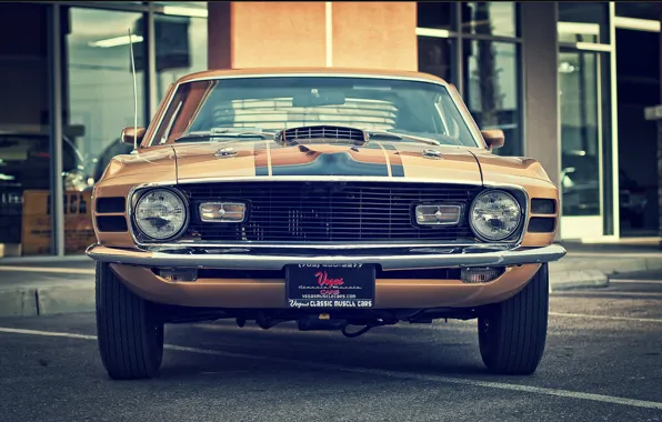 Картинка mustang, ford, vintage, 1970, classic, mach 1