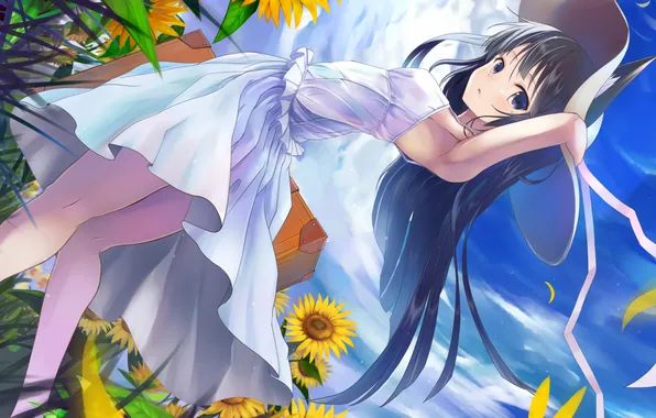 Поле, взгляд, девушка, подсолнухи, шляпа, чемодан, art, ore no imouto ga konnani kawaii wake ga …