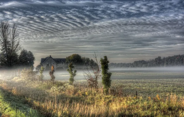 Картинка поле, туман, дом, утро