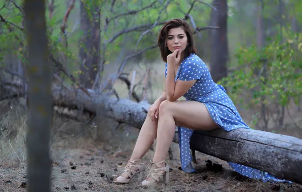 Girl, Wood, Blue, Forest, Dress, Sight