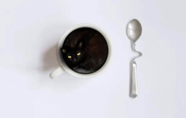 Котенок, ложка, чашка