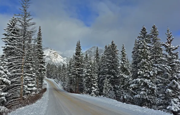 Картинка зима, дорога, Banff National Park