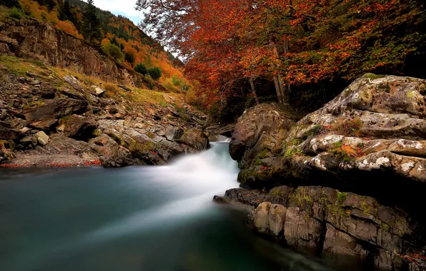 Осень, пейзаж, природа, река