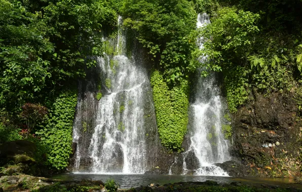 Зелень, солнце, деревья, скала, тропики, камни, водопад, Индонезия